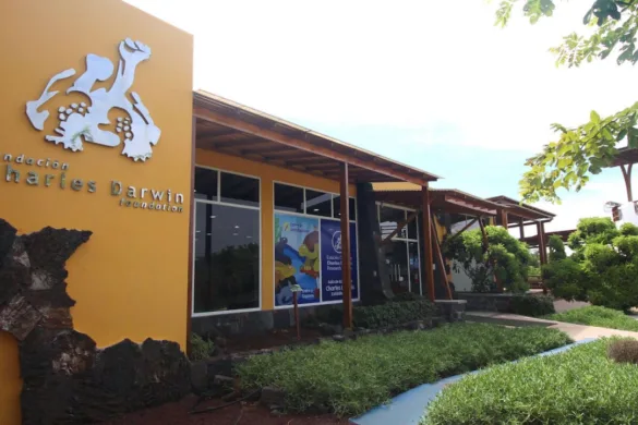 באלטרה - סנטה קרוז