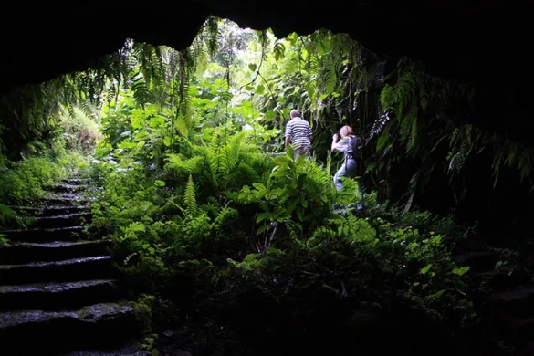 באלטרה - סנטה קרוז