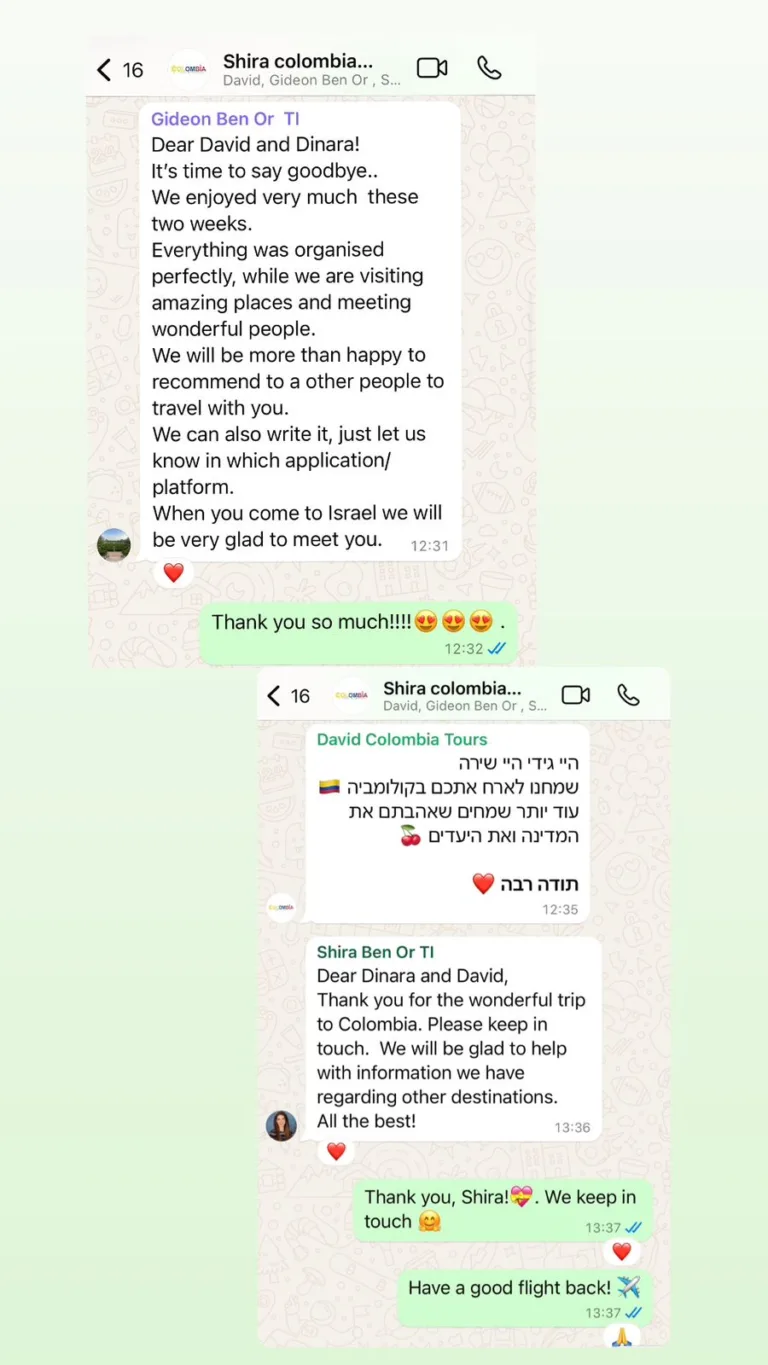 המלצות שירה